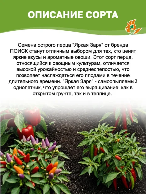 Перец острый Яркая Заря семена 