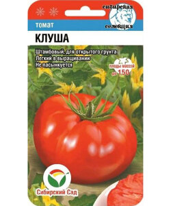 Томат Клуша