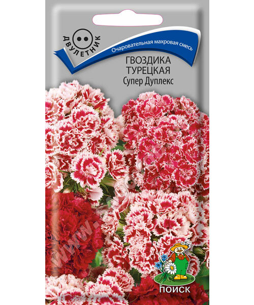 Гвоздика турецкая Супер Дуплекс семена