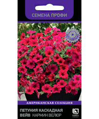 Петуния каскадная Вейв Кармин Велюр (ПРОФИ)