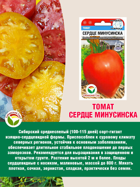 Томат Сердце Минусинска семена 