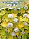 Пузыреплодник Лютеус (калинолистный) Пузыреплодник Лютеус (калинолистный)