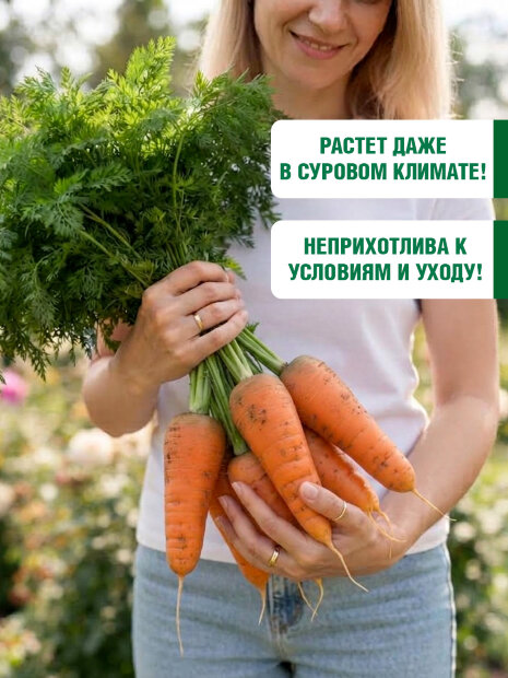 Морковь Сластена Сибирико F1 семена 