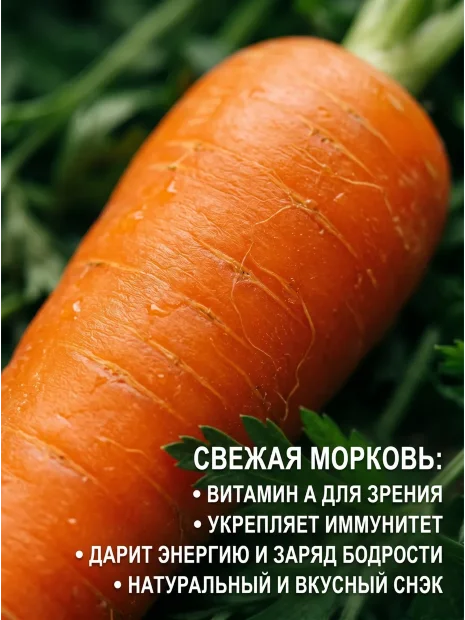 Морковь Сластена Сибирико F1 семена 