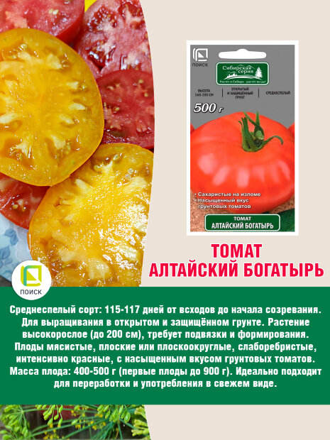 Томат Алтайский Богатырь семена 