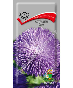 Астра Игл Софи Астра Игл Софи