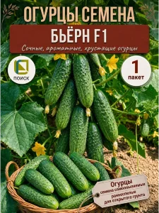 Огурец Бьерн F1 Огурец Бьерн F1