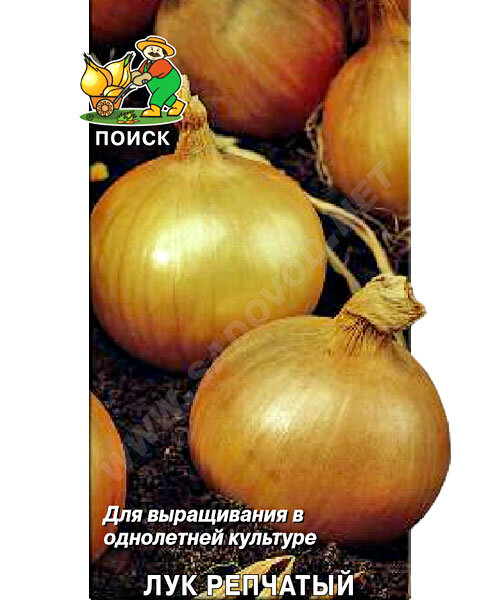 Лук репчатый Одинцовец (простые пакеты) семена 