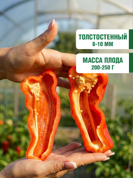Перец сладкий Банановый Десерт семена 