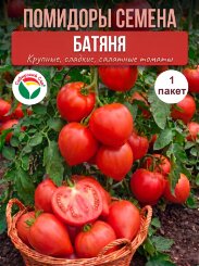 Томат Батяня
