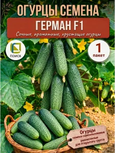 Огурец Герман F1 Огурец Герман F1